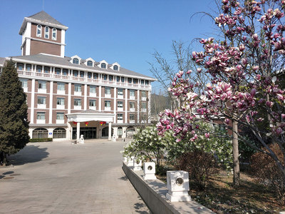 度假村春景